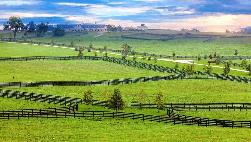 Fenced in land on horse farm in Kentucky. 