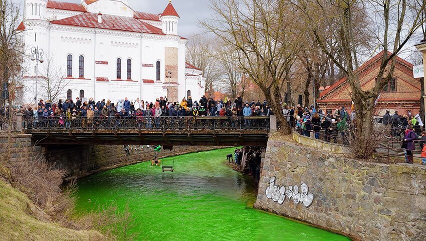 People on bridge over dyed green Vilnelė River.