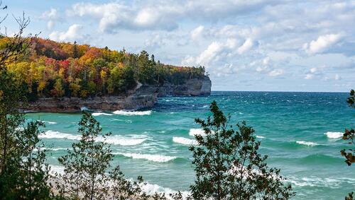 Upper Peninsula, Michigan forest near the shore of Lake Superior. 