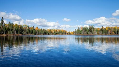 Lake with tree line reflected in water in Minnesota. 