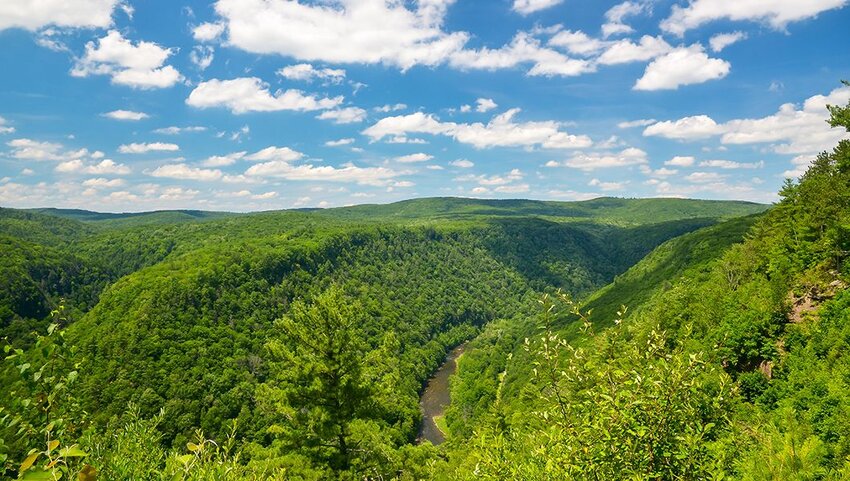 Pine Creek Gorge, also called the Grand Canyon of Pennsylvania.