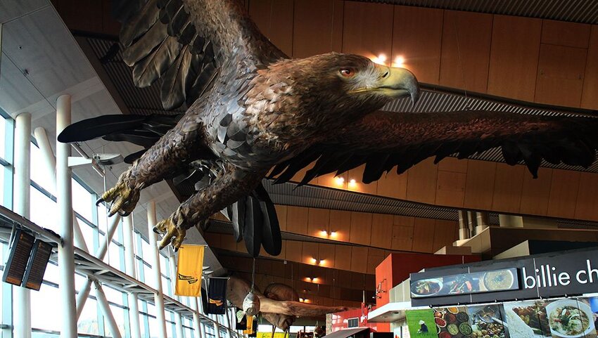 Lord of the Rings Eagle sculpture inside Wellington Airport.