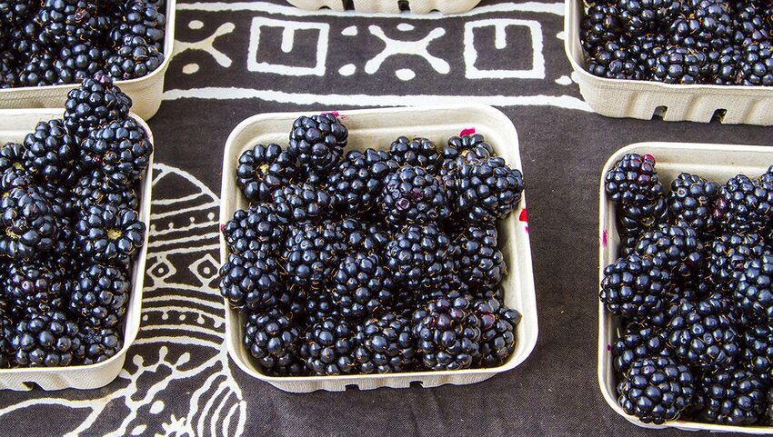 Blackberries in cartons on table.