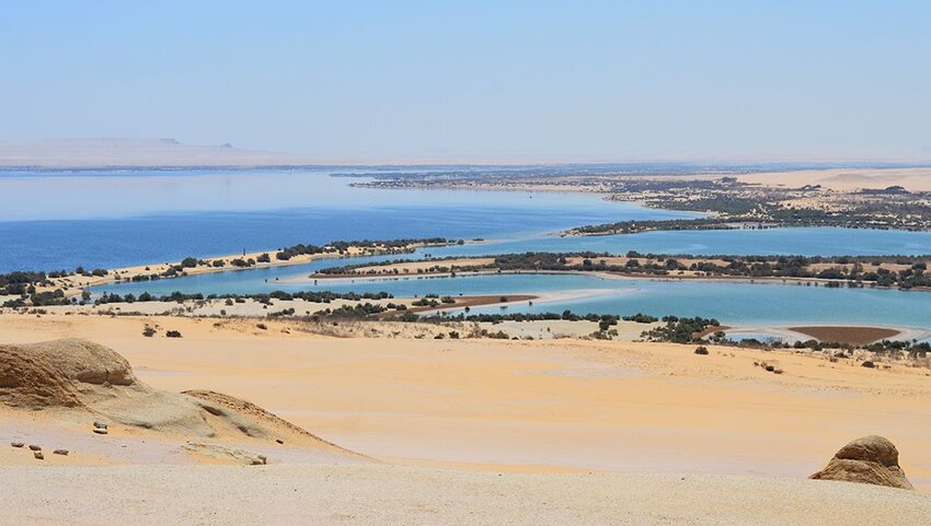 Oasis in a sandy desert.