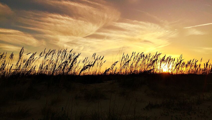 Sunset over reeds in Anastasia State Park.