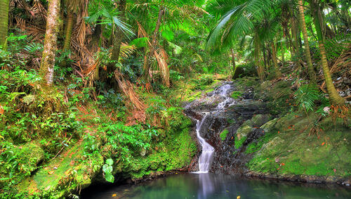 Small cascade in El Yunque national forest, Puerto Rico.