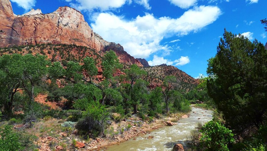 La Verkin Creek in Utah's Zion National Park.