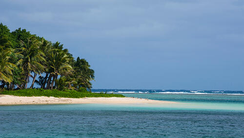 Palm trees and beach of Ofu Island.
