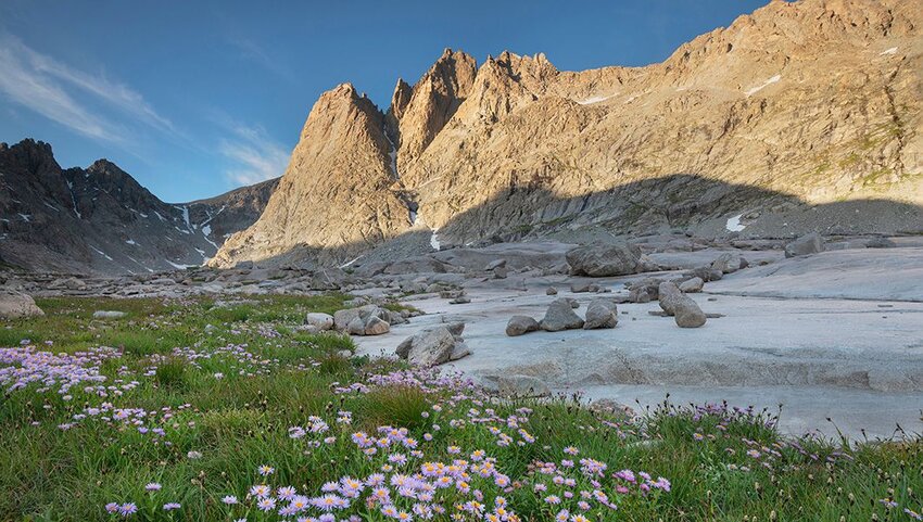 Mount Helen and field of purple Asters growing in Upper Titcomb Basin, Bridger Wilderness, Wind River Range, Wyoming.