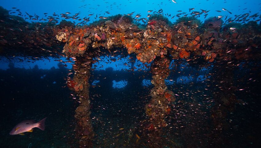 Section of railing of the Yongala shipwreck.