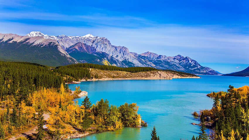 Abraham Lake surrounded but trees turning fall colors with  Rocky Mountains of Canada in distance. 