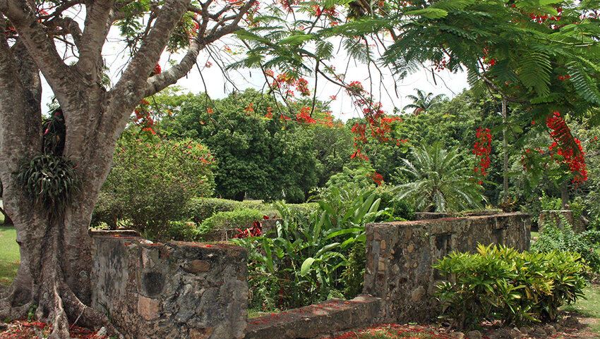  Gardens overgrowing stone ruins at St. George Village Botanical Gardens