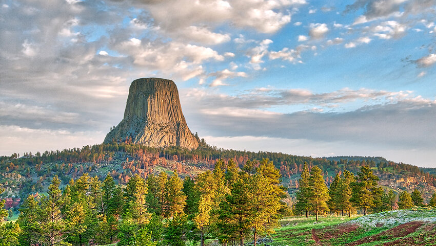 Devil's Tower National Monument under early morning cloudy sky with the forest in the foreground