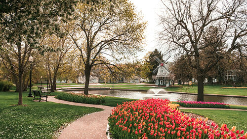 Park in Pella, Iowa with pond, tulips, trees, and windmill in distance,