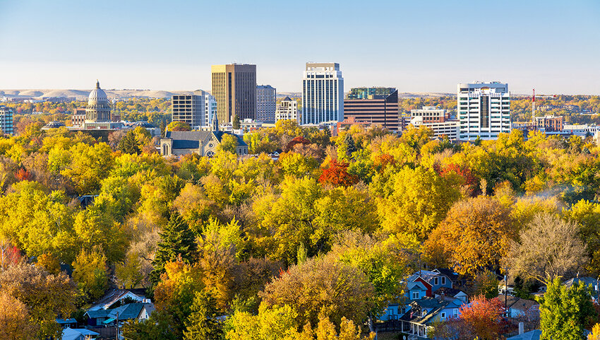 Fall foliage with Boise skyline in background. 