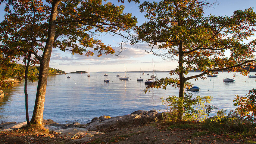 Harbor views through fall colors in scenic coastal Maine.
