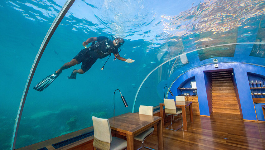 Scuba diver outside window of underwater restaurant.