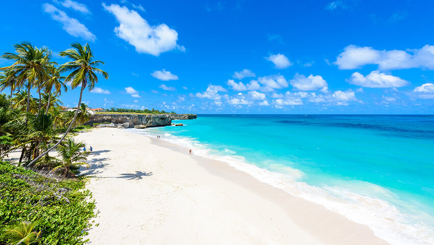 Tropical coast with palms hanging over turquoise sea.