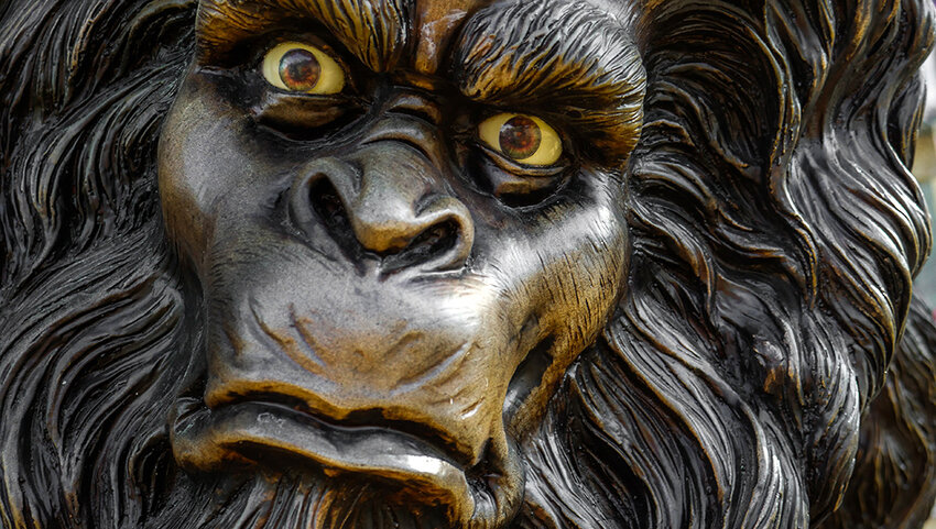 A close up on a statue of bigfoot's face looking into camera.