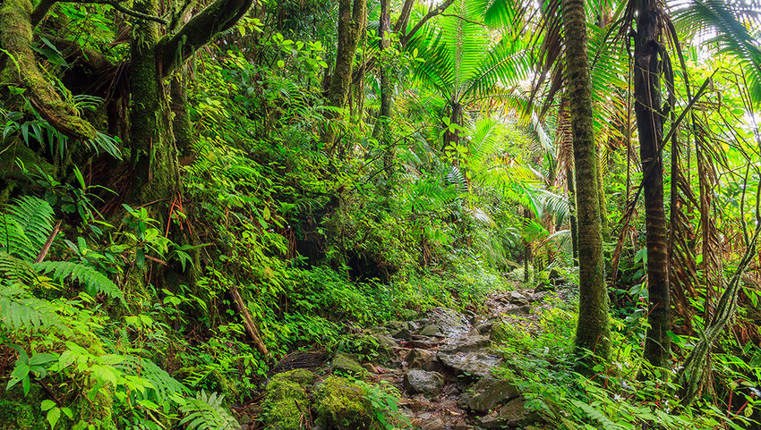 5 Protected Lands That Are Just as Incredible as National Parks | The ...