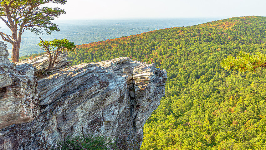 Hanging rock overlooking forest. 