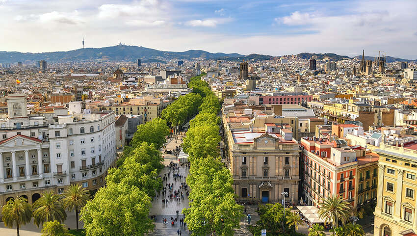 Aerial of buildings and tree lines street. 