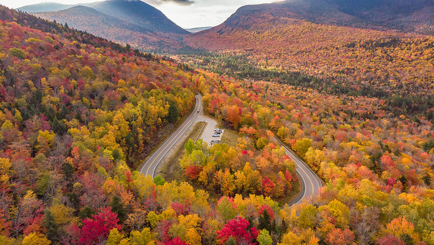 Curved road through fall foliage. 