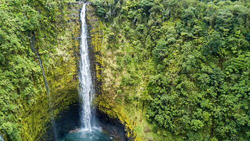 Aerial of Akaka Falls. 