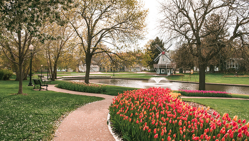 Park with pond, mini windmill, and tulip lined paths.